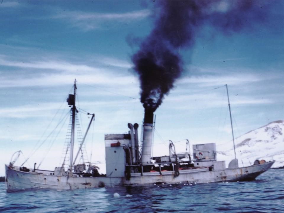 Viola Trawler Post