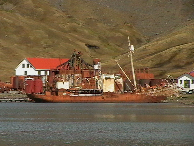 Viola Trawler