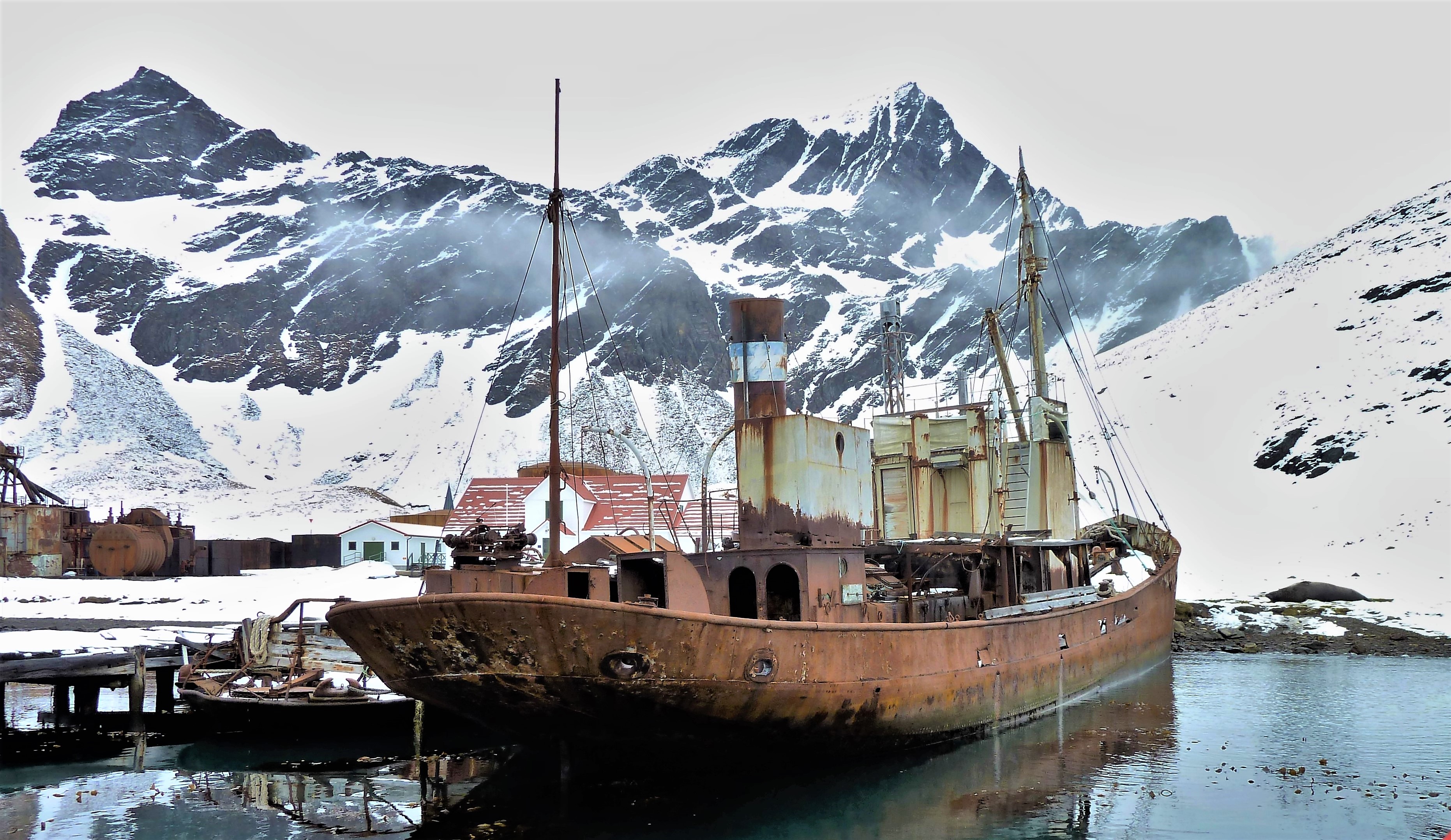 Viola Trawler